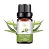 Rose Essential Oil - 10ML Aromatherapy Perfume Oil with 27 Fragrances