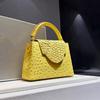 Luxury Designer Brand Fashion Leather Ostrich Print Handbag Shoulder Crossbody Bags for Women Sac À Main Femme