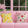 fruit print Cushion Cover Reversible Plush Pillow Cover – For car, sofa, bedroom, perfect as a gift.