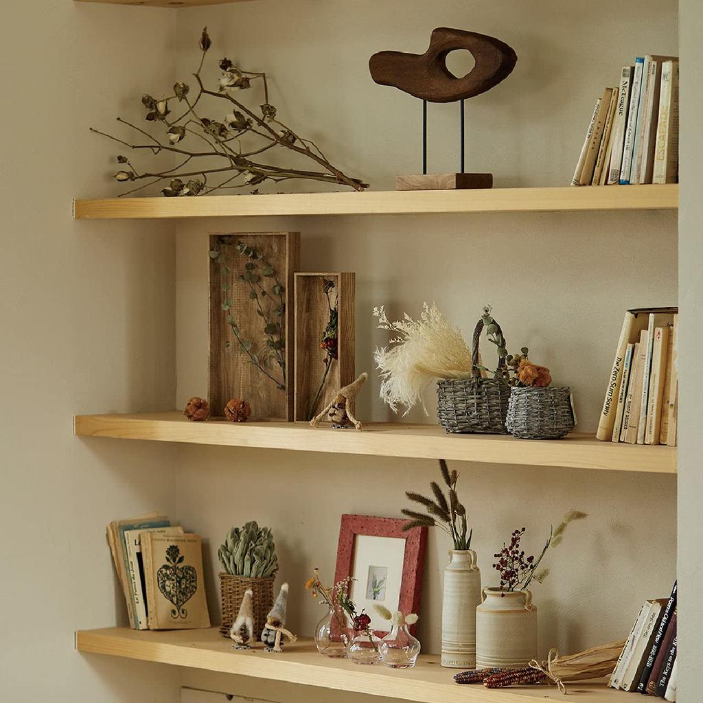 Daichi Farm Dried Flower Mini Přibližně 10 kusů Miscanthus, L60~75cm, DO050470-011