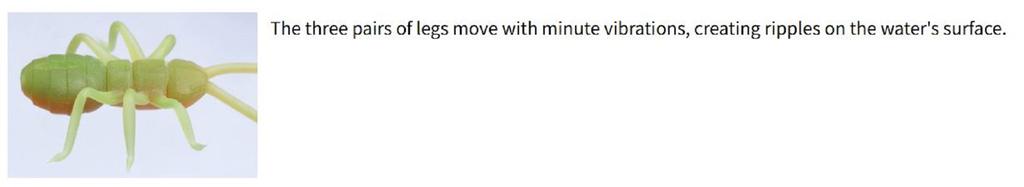 OSP Isca Mole Orikanemushi II 35mm 2 gramas Isca Flutuante OM-026 (1296)