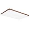 Rectangular Full-Spectrum Smart LED Ceiling Light