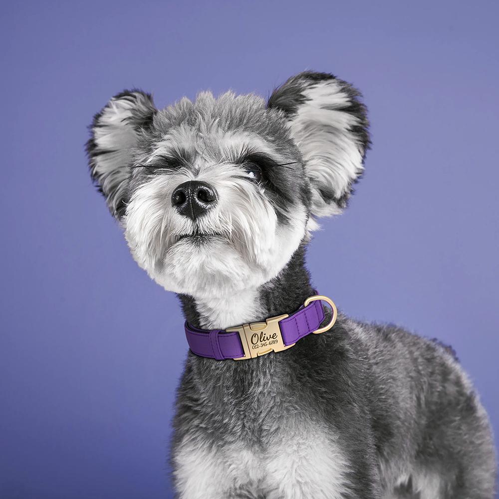 Colorful Dog Collar Customized Nylon Dog Collars Durable Pet Necklace With 8 Colors Padded for Small Large Dogs New Engraving