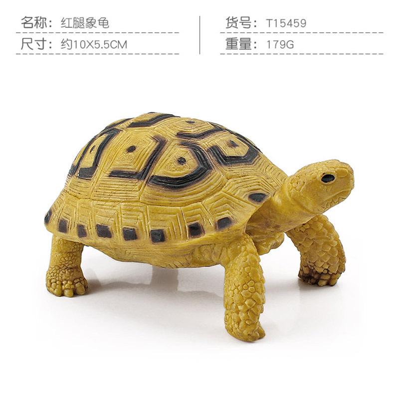 Simulation Amphibian Reptile Model Tortoise Tortoise Star Tortoise Static Decoration Cognitive Ornament Toy