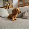 Der Dackelhund, Emotionale Heilung auf Abruf, Realistisches Dackel-Hundekuscheltier mit Ultra-Weichem Fell und Umarmungs-ähnlichem Design, Realistischer Emotionaler Begleiter T