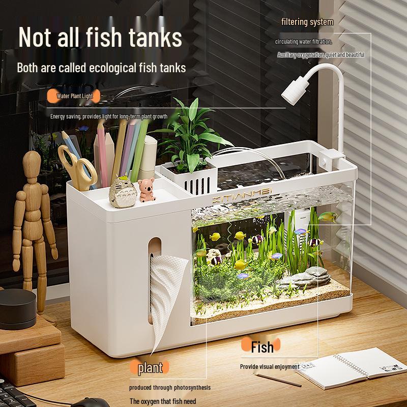 Multifunctional Ecological Aquarium: Creative Desktop Fish Tank Tissue Box for Living Room Landscaping