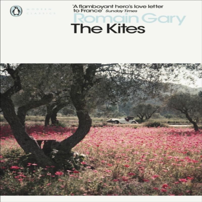 The Kites by Romain Gary Paperback Book 9780241345627