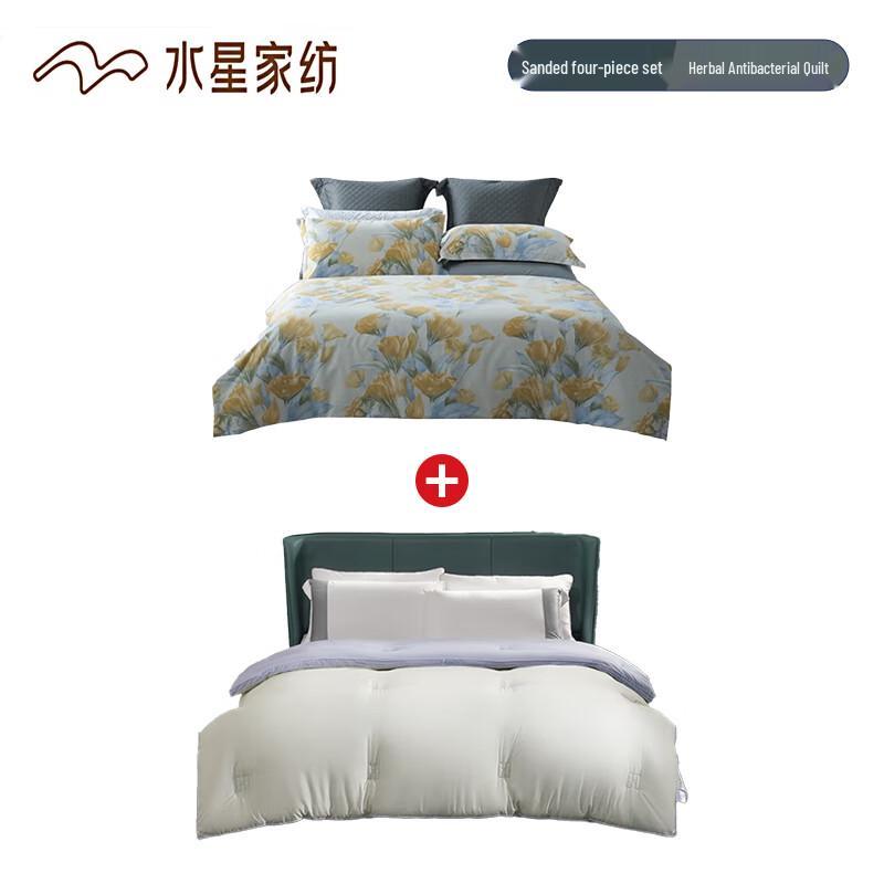 Mercury Home Textiles Duoman Brushed 4-Piece Bedding Set with Antibacterial Quilt
