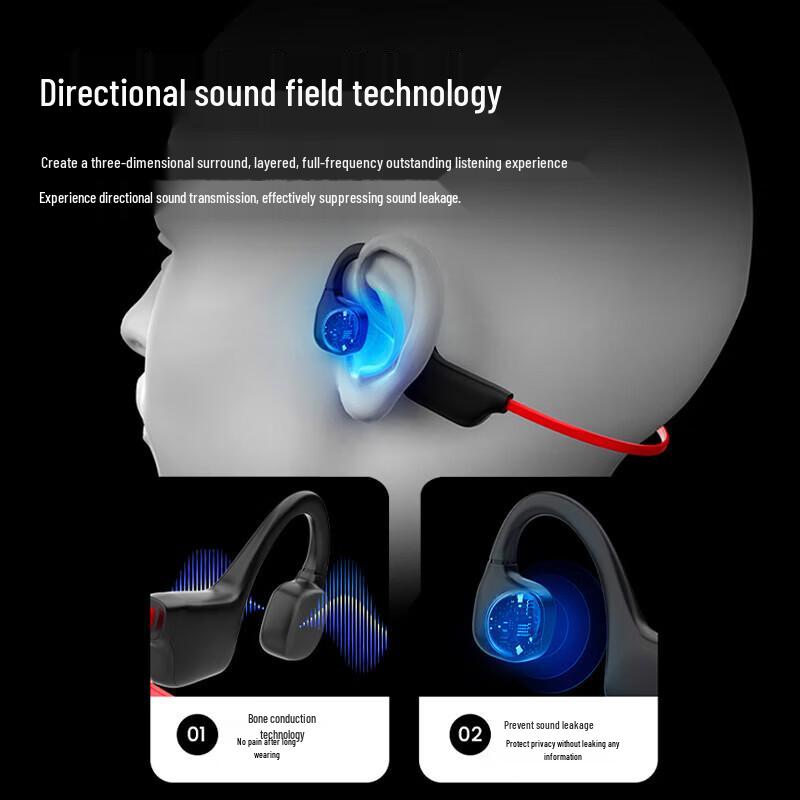 LEISE LS-AS22 Bone Conduction Sport Earphones