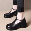Thick heel shallow mouth single shoes autumn new round head T-strap small leather shoes waterproof table comfortable versatile high heels
