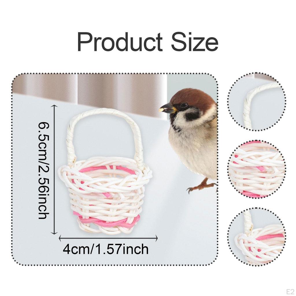 10 Stück Vogelspielzeug Kauen Hängen Futterkorb Futtersuche für Kleintier Sittich
