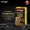 Baidyanath Himalayan Shilajit Gold Ayurvedic 20 Capsules with Gold, Silver & Herbal Extracts for Daily Energy and Vitality