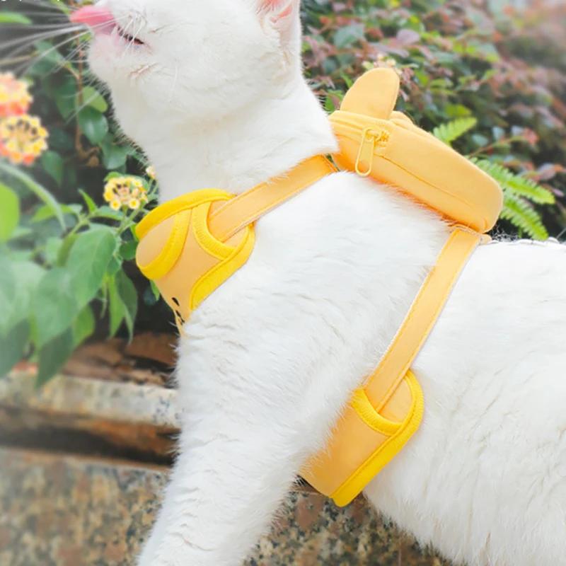 Classic Cute Small Dog Harness and Leash Set Step-in Adjustable Puppy Cat Dog Vest Harnesses Backpack Pet Harness for Small Medium Dogs