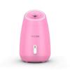 Cat Ear Nano Facial Steamer for Hydration and Pore Care