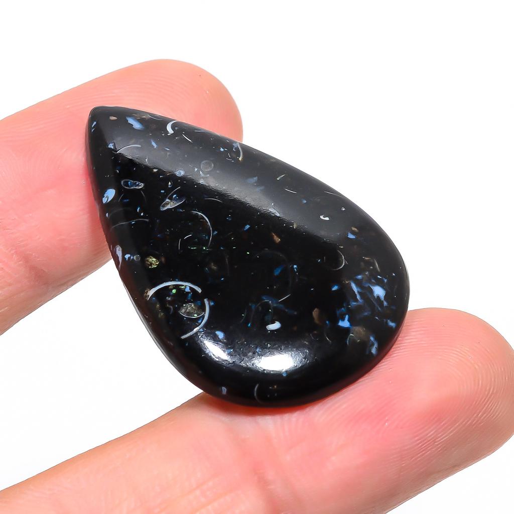 Turtilla Fossil 2.6x4.1mm Natural Cabochon Fine Loose 42.15Cts. P3a41