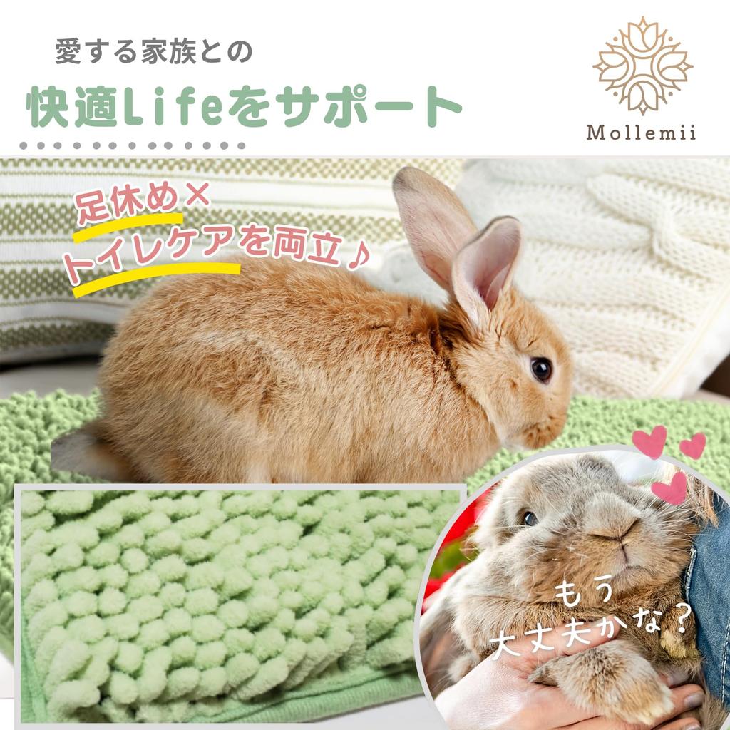 Mollemii Rabbit Mat Toilet Soar Hook Machine Washable Foot Rest and Toilet Green X [Both Care! ] (4060 (Natural 2))