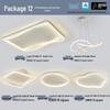 Modern Minimalist Ceiling Light Package with Smart Home Integration for Whole House