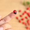 50/100Pcs Mini Wooden Ladybird Ladybug Self-Adhesive Sticker Children Painted Diy Crafts Fairy Garden Figurine Miniature Home De