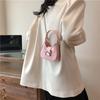 Niche Design New Bow Metal Buckle Mini Fashion One-shoulder Handbag Chain Crossbody Bag Women