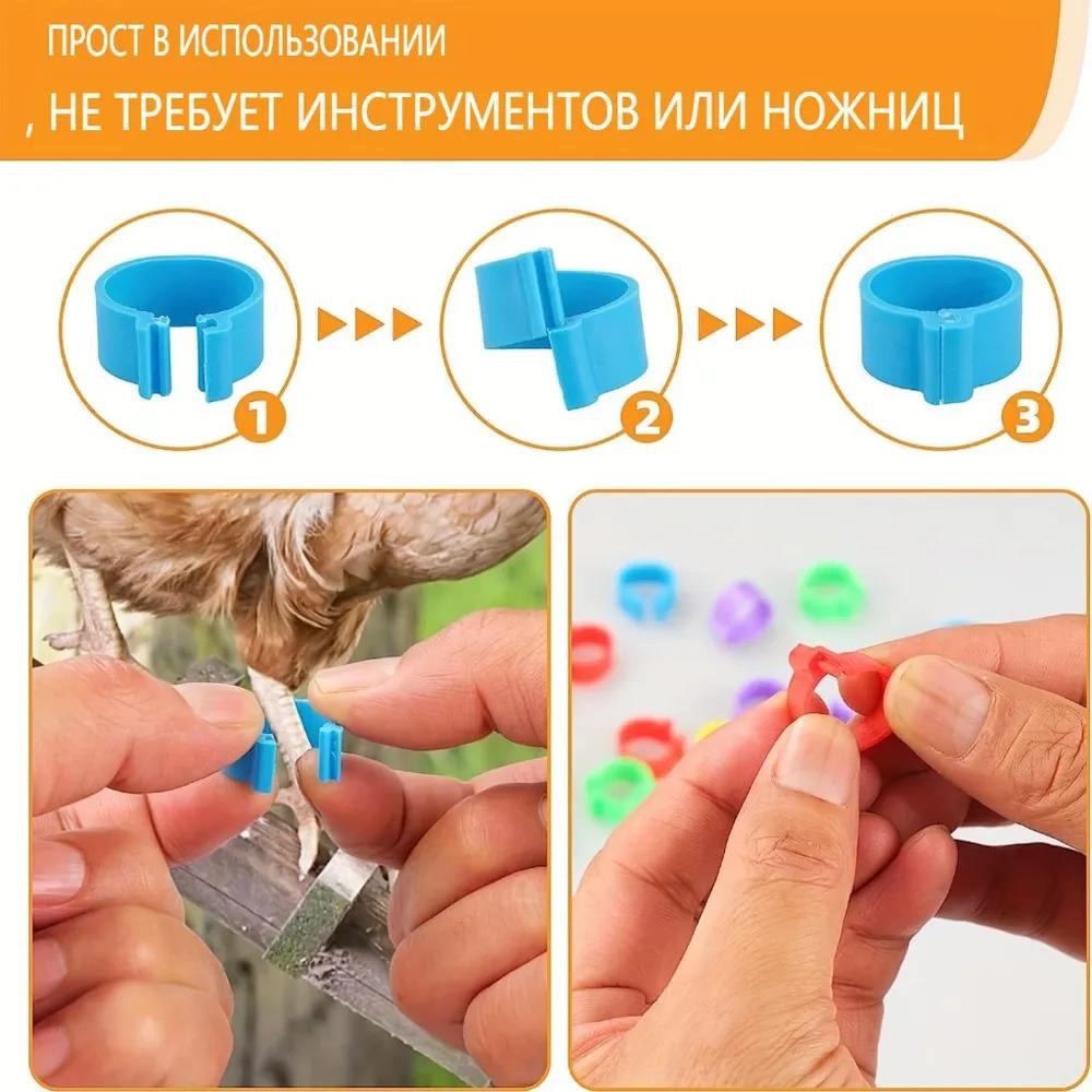 Livestock Tagging