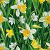 Outdoor Dekostoffe Oxford - Motiv Frühling I Dx7231
