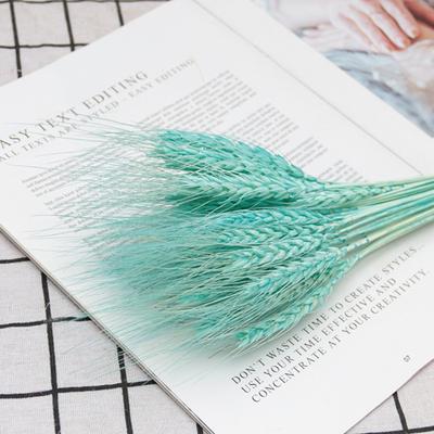 Set da 25 Pezzi Decorazione Fiore Artificiale Ampiamente Applicato Lavorazione Raffinata Nessun Appassimento Pampas Avena