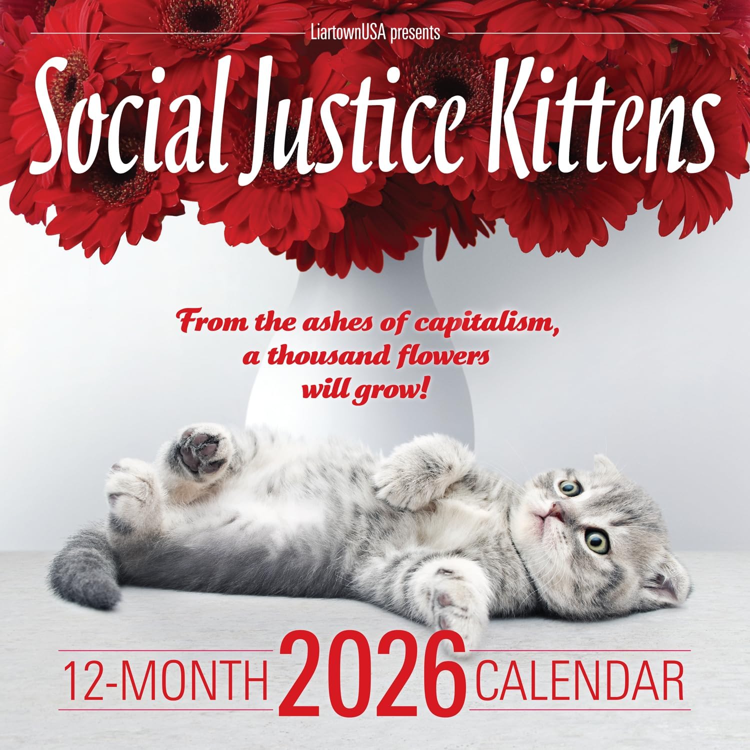 Social Justice Kittens 2026 Calendar