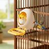 Eggshell Bird Bird Food Dispenser Bite Resistant Bird Standing Stick  Cage Accessory
