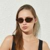Retro Small Cat Eye Polygon Sunglasses for Women Fashion Ladies Double Color Eyewear Men Designer Sun Glasses Shades UV400