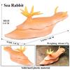 Oenux Ocean Animals Model Jellyfish Starfish Sea Anemone Coral Action Figures Aquarium PVC Miniature Educational Kids Toy Gift