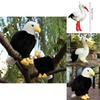 Realistic Eagle Plush Toy For Wildlife Enthusiasts 25cm/35cm/45cm