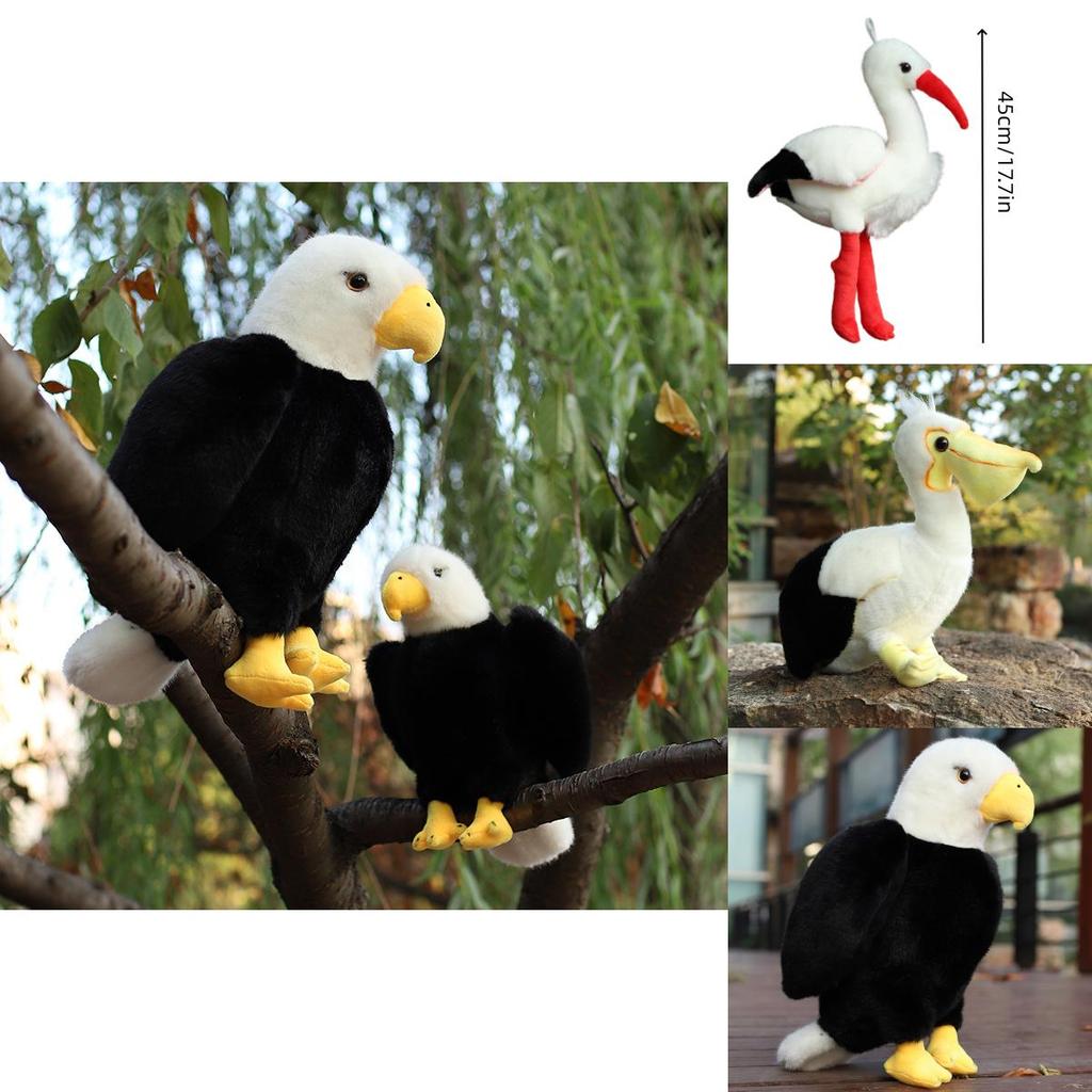 Realistic Eagle Plush Toy For Wildlife Enthusiasts 25cm/35cm/45cm