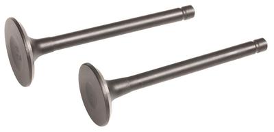 Loncin Engine Valves Set. Lc2P73F Lc2P76F Original Part 500550103-0001
