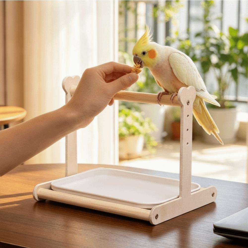 Creative Parrot Potty Training Platform Anti-Splash Design Pet Bird Perching Stand  Bird Supplies