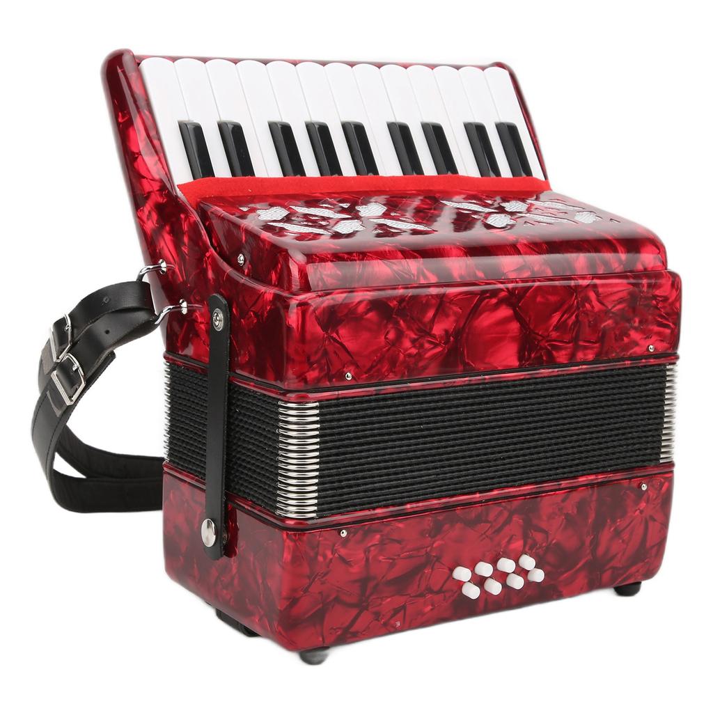 IRIN Accordion Piano 8 Bass 22 Key Playing Musical Instruments for Children Beginner