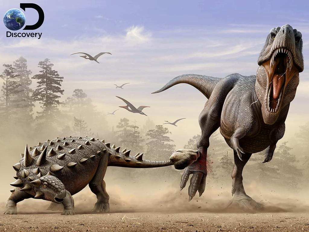 Yamasan Prime 3D Discovery Euoplocephalus Daspletosaurus Finished 61 X 46 Cm 500 Pieces Vs. 10331, Size /