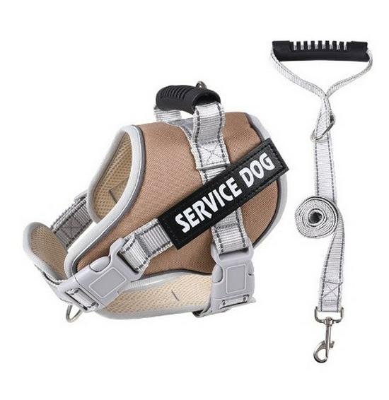 Reflektierende Atmungsaktive Hundeleine & Geschirr - Explosionsgeschütztes Design