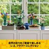 LEGO Botanical Daffodil Toy Building Blocks for Kids Ages 8-10 Flower Bouquet Decorative Gift 40747