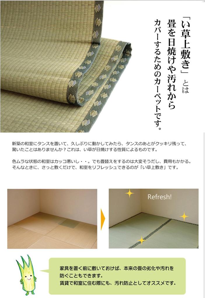 IKEHIKO Igusa Rug, Pine, Fits 6 Tatami Mats (Danchima), Approx. 255 X 340cm, Made In Japan, Double-Weave Carpet with Cypress Finish #1103216