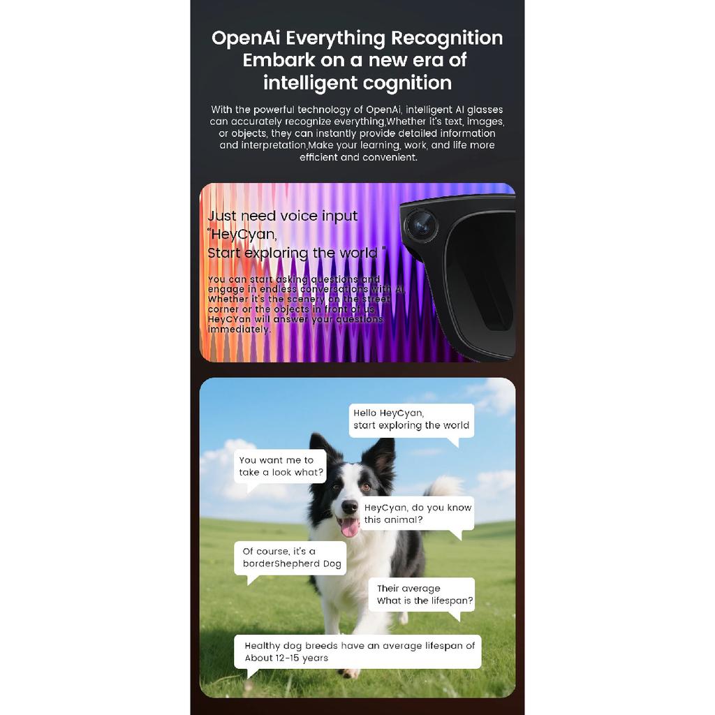 2026 Έξυπνα Γυαλιά HD Φωτογραφία Βίντεο OpenAI Καταγραφή Μετάφραση Αφή αφής Φωτοχρωμικοί Φακοί Κλήση Bluetooth Μουσική Πολυλειτουργικά Γυαλιά