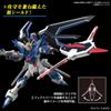 Gundam Seed Freedom 1 144 Hg Rising Freedom Gundam