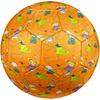Rugrats Theme Size 5 Soccer Ball, Suitable for Both Indoor and Outdoor Matches, a Gift Suitable for Everyone.