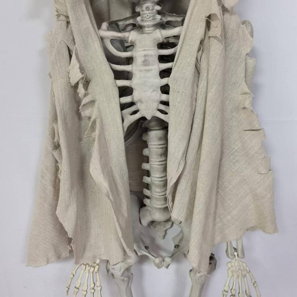 Halloween 5.5ft Skeleton Simulation Human Plastic Skeleton Haunted House Prop Skeleton Decoration