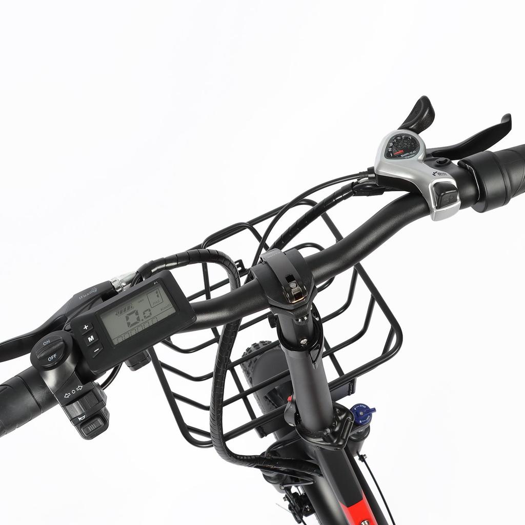 BAOLUJIE DZ-2030 Electric Bike 20*4.0'' Inch Tires 500W Motor 48V16AH Battery Max Speed 40KM/H Mechanical Disc Brakes