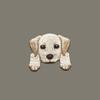 Cute Iron On Small Dog Patch Backpack Decoration Clothing Patches Applique