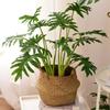 Nordic Green Artificial Plants: Dried Flower Ornaments for Home or Office Decor