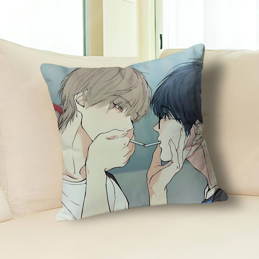 Manga L-Lost In The C-Cloud Various Sizes Square Pillow Case For Car Home Bedchamber Decor Custom Valentine gift