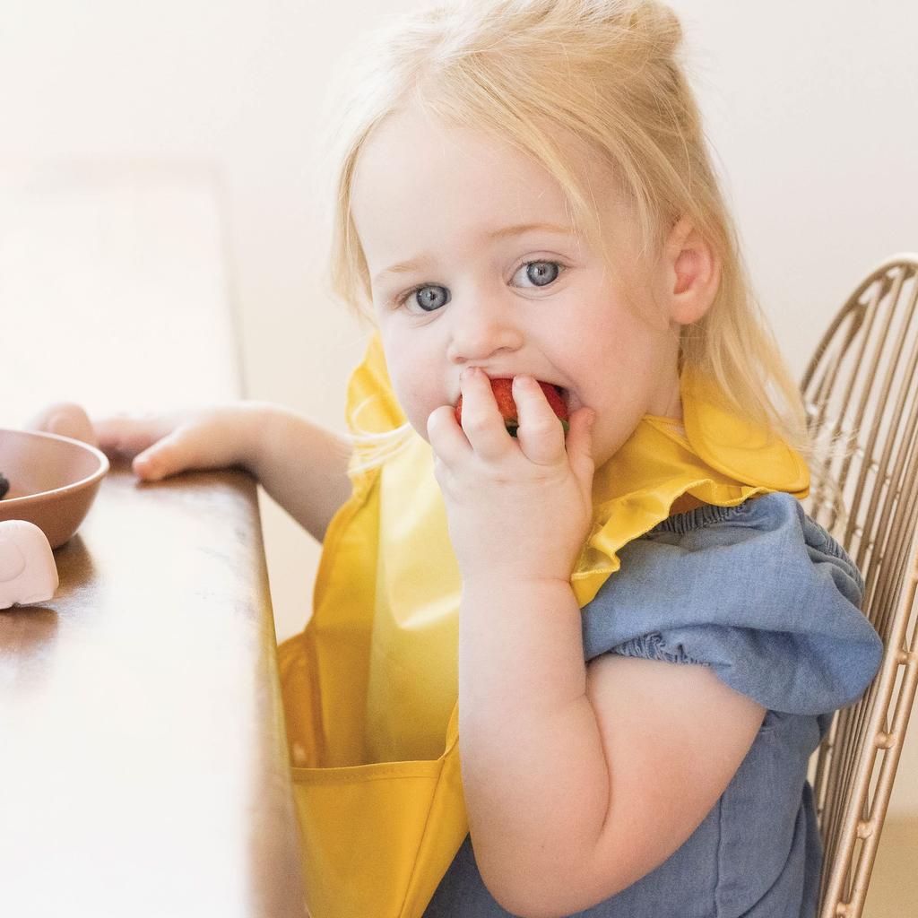 Tiny Twinkle Easy Bib Set of 3 Japanese for Babies Foldable Snap Suitable for and Machine Available in and Dandelion (Official Product) 6-24 Months,