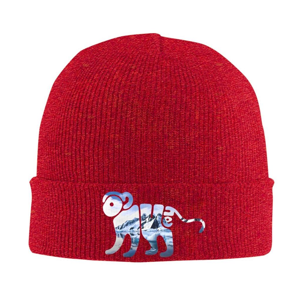 Rock Music Album Band Knitted Caps for Women Men Beanie Winter Hats Arctic Monkeys Crochet Caps