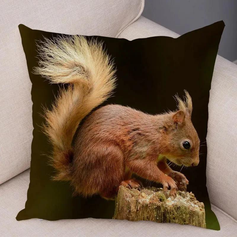 Cute Squirrel Cushion Cover Pillowcase Pillow Covers Home Decor Pet Animal Pillows Case Super Soft Polyester Pillows Covers